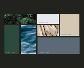 Paslaugos verslui - Brandingas / Soc. tinklai / Web dizainas / - 4