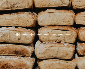Brandingas / Soc. tinklai / Web dizainas / / „Advertlab" Komanda / Darbų pavyzdys ID 4252484