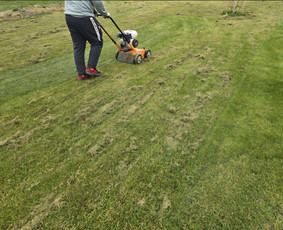 Vejos aeravimas - Visi aplinkos tvarkymo darbai: žolės sėjimas, pjovimas,aer. - 1