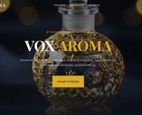 Interneto svetainių kūrimas - Modernių svetainių ir e-parduotuvių kūrimas verslui - 2