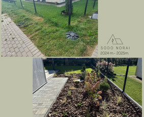 Apželdinimo projektai, augalų planai- privačiam sklypui / SODO NORAI / Darbų pavyzdys ID 4253281