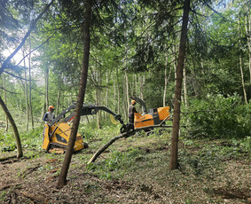 &Scaron;akų i&scaron;vežimas - Avarinių ir kitų medžių pjovimas, mažų sklypų tvarkymas - 2