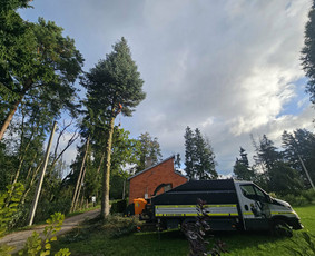 &Scaron;akų i&scaron;vežimas - Avarinių ir kitų medžių pjovimas, mažų sklypų tvarkymas - 1