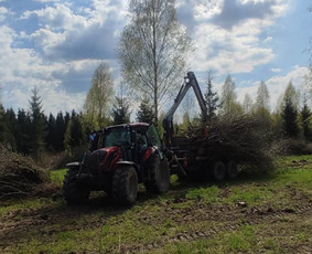 Apleistų sklypų tvarkymas - Avarinių ir kitų medžių pjovimas, mažų sklypų tvarkymas - 1