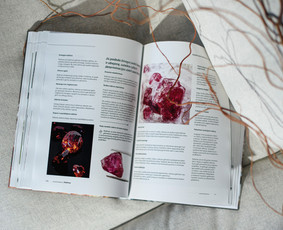 Knygų iliustravimas - Grafikos dizainas, logotipų kūrimas, maketavimas, animacija. - 3