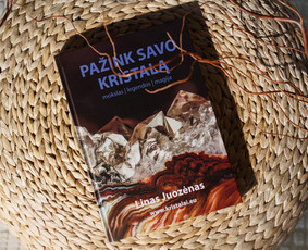 Knygų iliustravimas - Grafikos dizainas, logotipų kūrimas, maketavimas, animacija. - 2