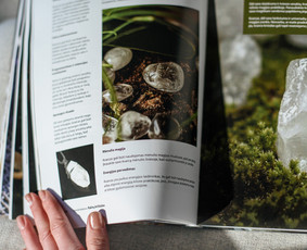 Knygų iliustravimas - Grafikos dizainas, logotipų kūrimas, maketavimas, animacija. - 1