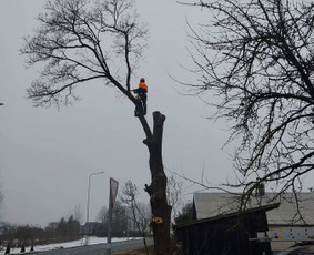 Avarinių medžių pjovimas - Avarinių ir kitų medžių pjovimas, mažų sklypų tvarkymas - 3
