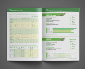 Leidinių maketavimas - Dizaino strategė - 3