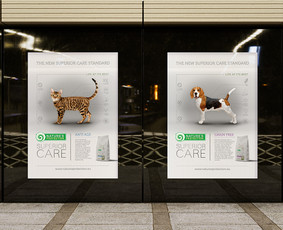 Plakatų maketavimas - Dizaino strategė - 1