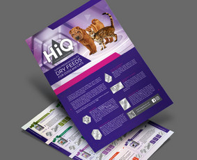 Skrajutės maketavimas - Dizaino strategė - 1