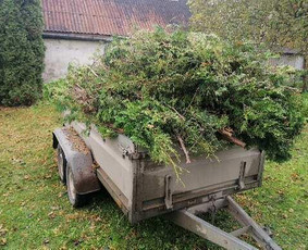 Pjaunu medžius, gyvatvores, tujas ir kitą augmeniją / Darius Rimšelis / Darbų pavyzdys ID 4254777