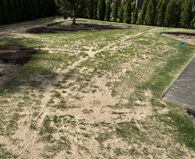Vejos įrengimas, laistymas, „coRe“ Aeracija,skarifikacija / Jevgenij / Darbų pavyzdys ID 4254931