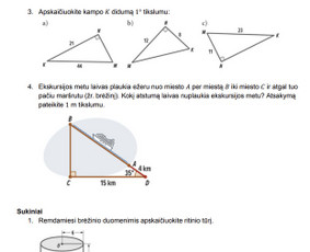 Ruo&scaron;imas matematikos egzaminams - Matematikos korepetitorė - 2