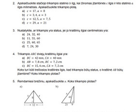 Mokymai, kursai, kalbos - Matematikos korepetitorė - 4