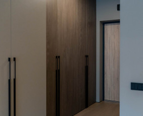 Klinkerio klijavimas - Statybos ir apdailos darbai - 2