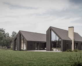 3d vizualizacijos / interjero ir eksterjero vizualizacijos / Lukas Raščius / Darbų pavyzdys ID 4256705