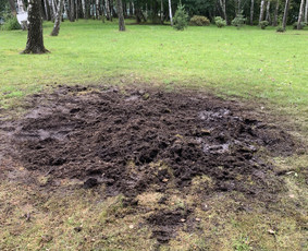 Tradiciniai amatai - Kelmu frezavimas, naikinimas - 4