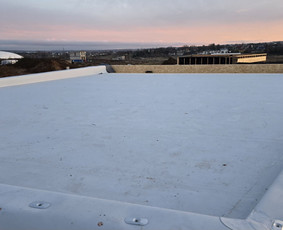 Plokščių Stogų Dengimas Pvc, Epdm ir bitumine Danga / Tvirti stogai / Darbų pavyzdys ID 4257237