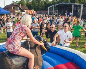 Renginiai, &scaron;ventės - Rodeo Bulius , gimtadieniui,bernavakariui,&scaron;ventei - 2