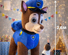 Animatoriai, personažai vaikams - &Scaron;unyčiai patruliai personažai vaikų &scaron;ventėms: Skye ir Chase - 3