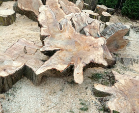 Arboristo paslaugos: medžių pjovimas/genėjimas / Tomas Damulis / Darbų pavyzdys ID 4258649