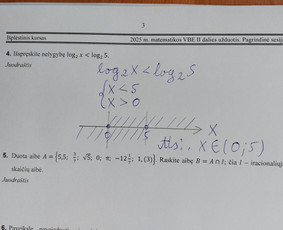 Ruo&scaron;imas matematikos egzaminams - Gyvai Matematikos ir Fizikos Korepetitorius Vbe ir Pupp - 3