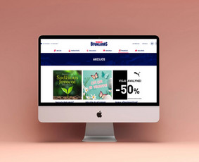 Interneto svetainių kūrimas - Individualių sprendimų programavimas - 4