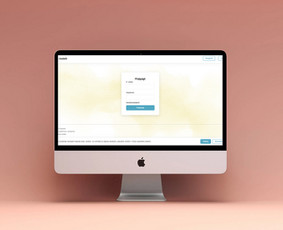 Interneto svetainių kūrimas - Individualių sprendimų programavimas - 2