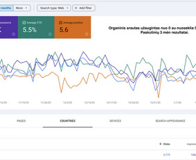 SEO paslaugos - Seo paslaugos el. parduotuvėms ir paslaugų verslams - 2