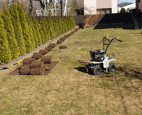 Aplinka, sodas - Vejos įrengimas, Ruloninė veja,laistymas, Aplinkos tvarkymas - 1