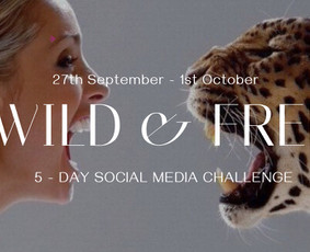 Banerių kūrimas - Dizainas, Strategija, Socialiniai Tinklai, Ai vizualai - 3