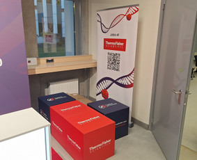 Bažnyčios puo&scaron;imas - &Scaron;venčių Dekoravimas, Floristika, Fotozonų Įrengimas - 4