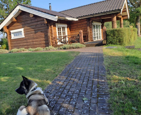 Sodybos nuomai - Rąstinės sodybos nuoma - 1