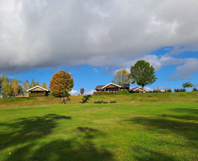 Rąstinės sodybos nuoma / Gitana / Darbų pavyzdys ID 4261147