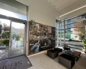 Pakabinamų lubų montavimas - Statybos ir remontas is vienu ranku. - 4