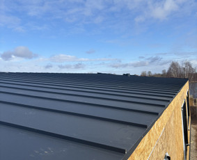 Statybos darbai - Stogai,skardininkas,terasos,karkasiniai namai - 1