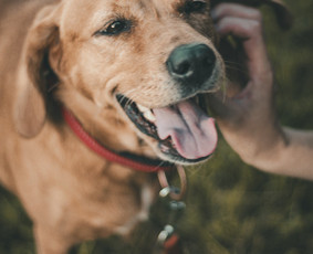 Fotografai - Fotografė Vilniuje &ndash; asmeninės,soc.tinklų,&scaron;eimos fotosesijos - 2