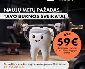 Grafikos dizaineriai - Grafinis dizainas - Vizualinis identitetas - Maketavimas - 2