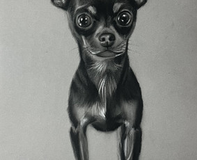 Grafikos darbai - Portretai, Paveikslai, &Scaron;aržai - 2