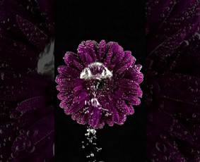 Paslaugos verslui - Produktų videoreklama - 4