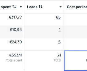 Meta Ads, Google Ads - maksimali grąža iš reklamos / Modesta Briedytė / Darbų pavyzdys ID 4263813