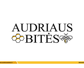 Vizualinio indetiteto kūrimas / Aurimas Jackevičius / Darbų pavyzdys ID 4264289