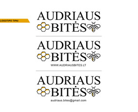 Firminio stiliaus kūrimas - Vizualinio indetiteto kūrimas - 2