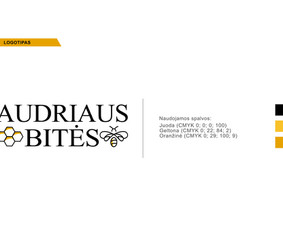Vizualinio indetiteto kūrimas / Aurimas Jackevičius / Darbų pavyzdys ID 4264297