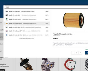 Interneto svetainių kūrimas - E-komercijos sprendimai, verslo procesų skaitmenizavimas - 2