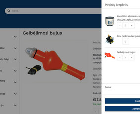Interneto svetainių kūrimas - E-komercijos sprendimai, verslo procesų skaitmenizavimas - 1