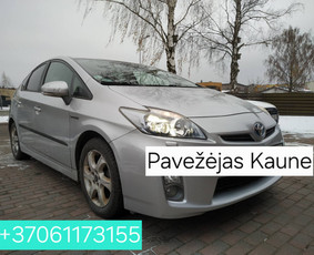 Pagalbiniai darbininkai - Pagalba įvairuose darbuose, asmeninis vairuotojas - 2