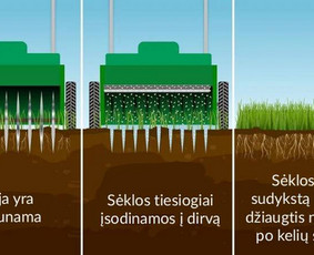 Vejos priežiūra, įrengimas - Vejos Profas: Profesionalios vejos priežiūros paslaugos - 4