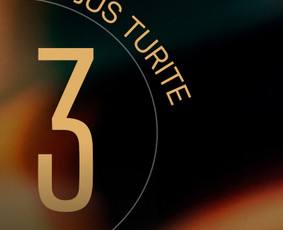 Paslaugos verslui - Socialinių tinklų administravimas - 4